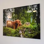 Apartament Insieme *
